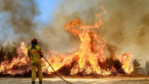 Fogo na Guarda combatido por mais de 300 bombeiros avançou para concelho vizinho de Belmonte