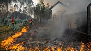 Queimas e queimadas representam 62% das causas dos fogos deste ano