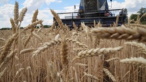 ONU em negociações intensas para estender acordo de exportação de cereais da Ucrânia
