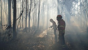 Região de Leiria quer medidas excecionais e intervenções rápidas devido a incêndios
