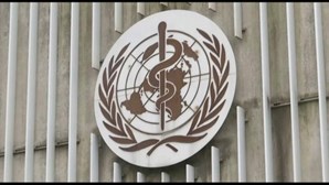 Organização Mundial de Saúde mantém nível máximo de alerta para a Covid-19