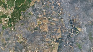 Imagens de satélite impressionantes mostram áreas ardidas em Portugal, França e Grécia