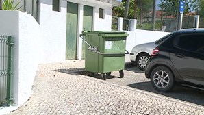 Mulher deixa bebé no lixo a caminho do trabalho na Mealhada