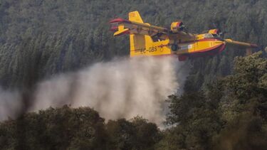 Avião Canadair já está na Madeira para reforçar combate às chamas