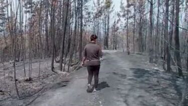 Rasto de destruição, fogo, incêndio, alvaiázere