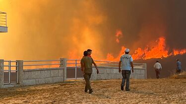 Incêndio Vila Pouca de Aguiar