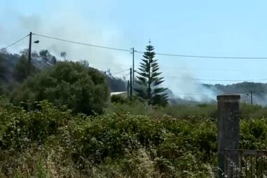 Incêndio em Sintra mobiliza mais de 100 operacionais e um meio aéreo