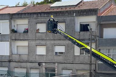 Bombeiros resgatam cão preso em parapeito de janela em Idanha, Sintra
