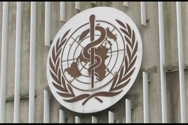 OMS, Europa, Covid-19, Organização Mundial da Saúde, política, saúde, organizações internacionais, epidemias e pragas, doenças, meteorologia, dados meteorológicos