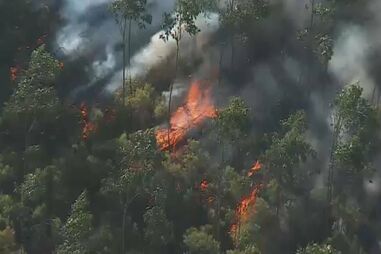 Incendiário detido em flagrante a atear fogos em Castelo de Paiva