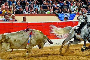 corrida no montijo, touros, tourada