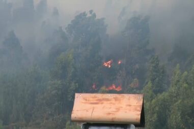 Incêndio em Góis