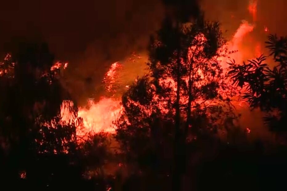 jovem, incendiário, fogos, fascínio, meios de combate, bombeiros, crime, figueira da foz 