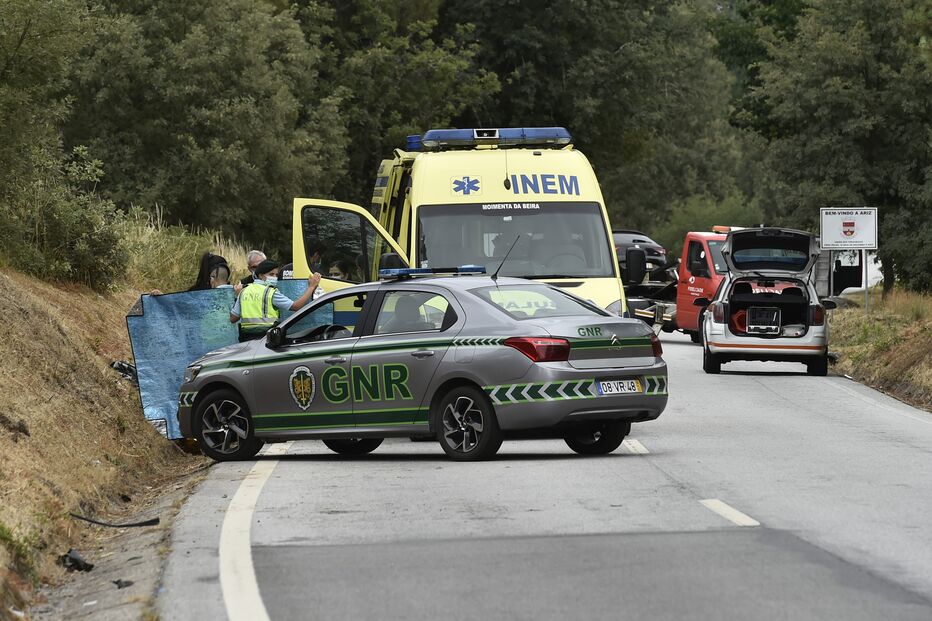 Imagem _NAF2339.JPG (14496573) (Milenium)