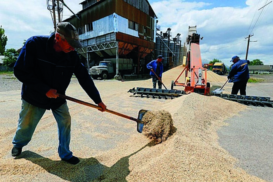 cereais, ucrânia
