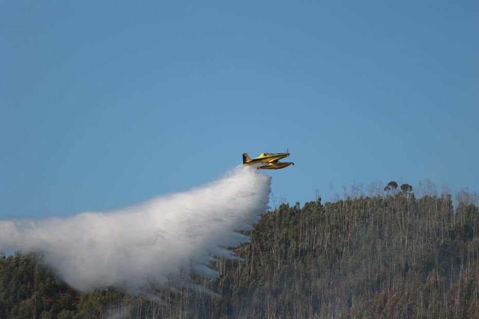 Incêndio em Figueiró dos Vinhos
