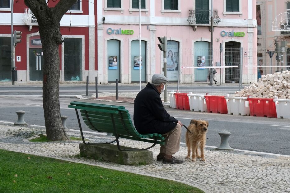 homem, cão, pensionistas