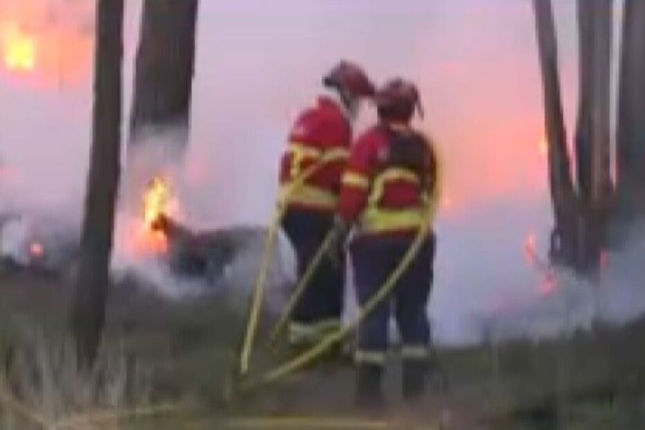 ourém, incêndio, bombeiros, incêndio florestal 