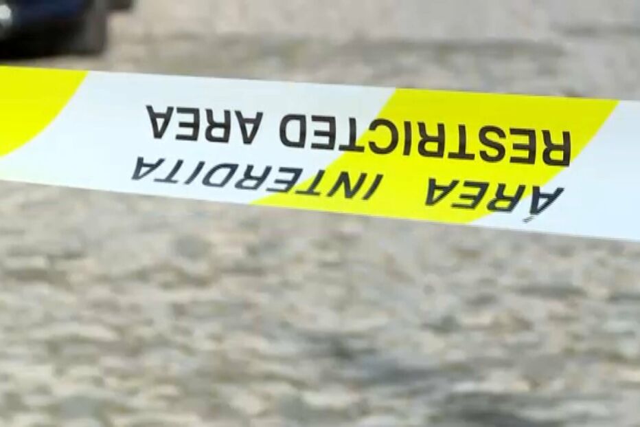 Advogada e perito plantaram provas para favorecer viúva de Luís Grilo