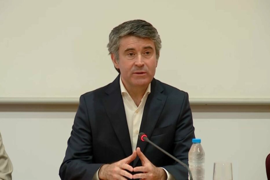 Governo, José Luís Carneiro, política, estado de contingência