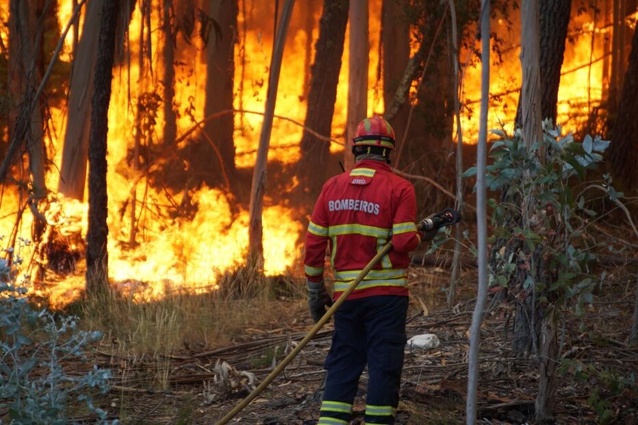 Fogo em Alvaiázere