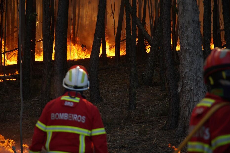 Fogo em Alvaiázere