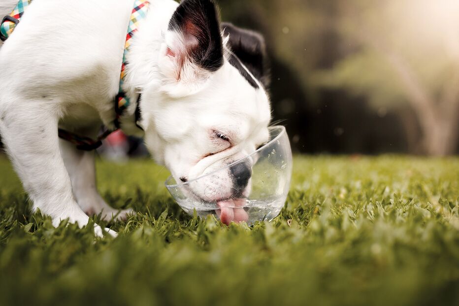 2022-07-11_17_08_04 Pág. 3_Getty-928149652.jpg