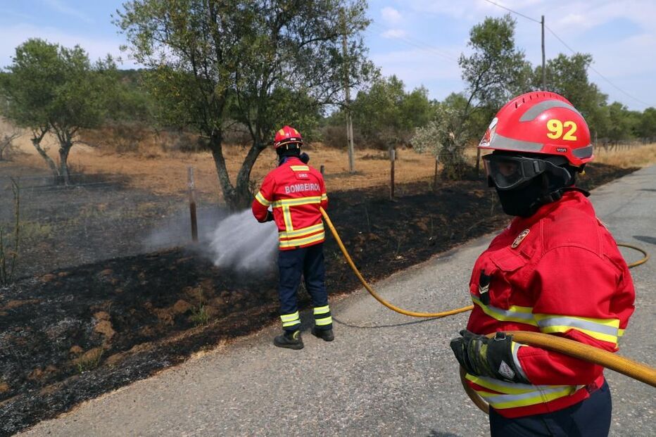 Rescaldo, incêndios, Santiago do Escoural, Montemor-o-Novo