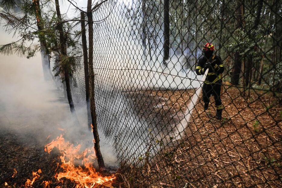 incêndios, combate às chamas, Leiria