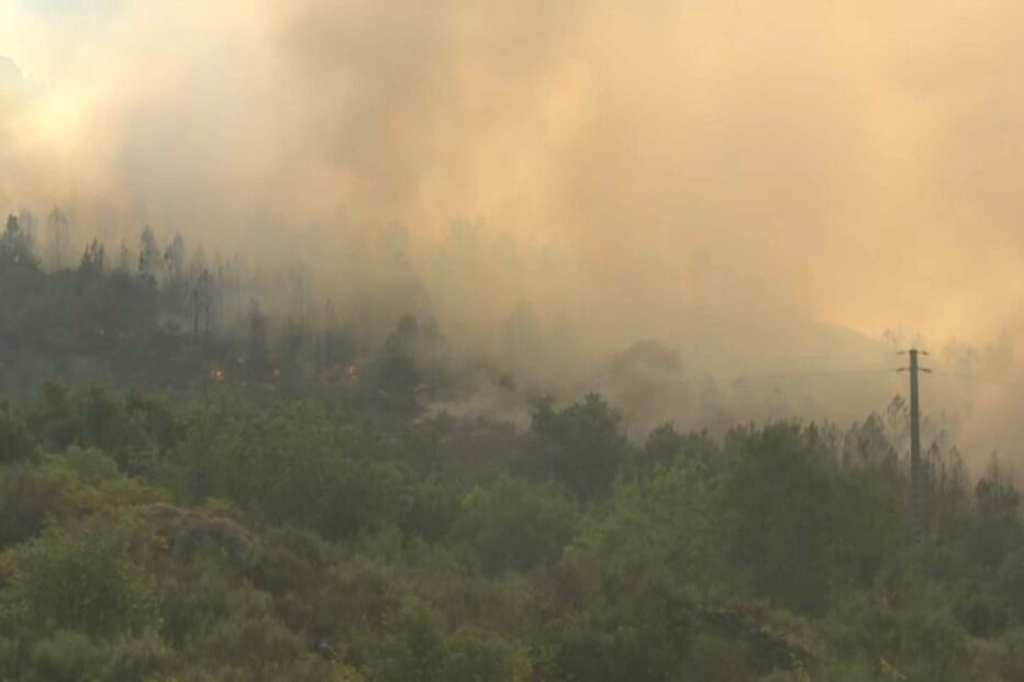 incêndio, fogo, mangualde, bombeiros