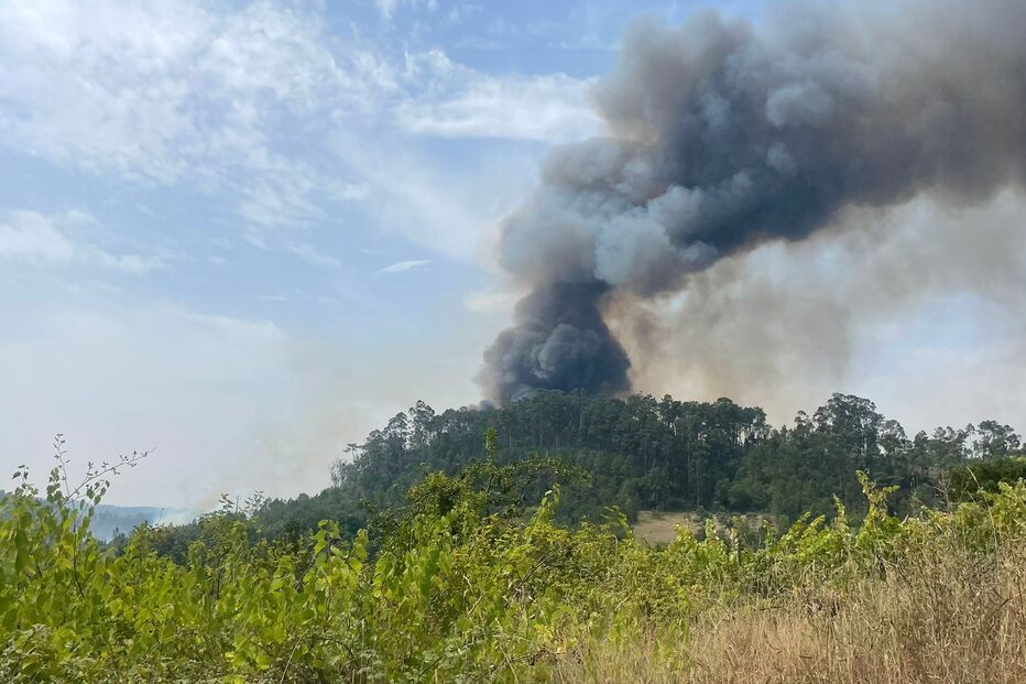 Estradas fechadas, aldeias em risco e três helicópteros a combater as chamas: Há reacendimentos em Ourém 