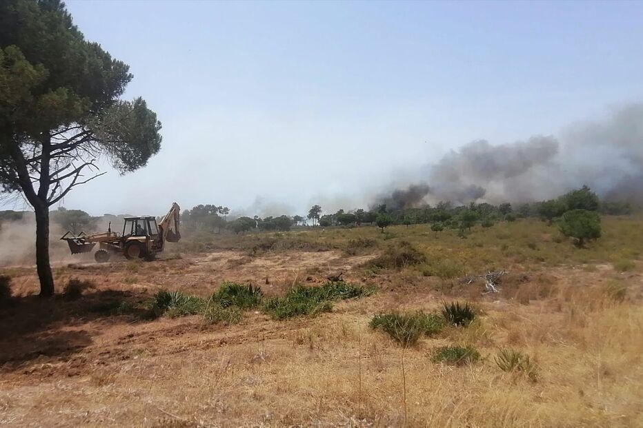 Incêndio em Gambelas, Faro