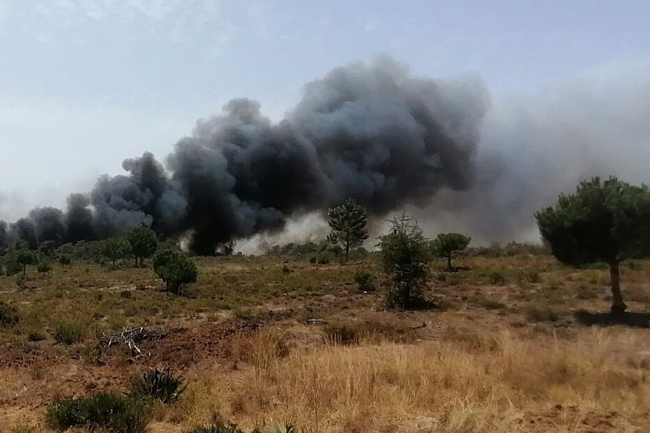 Incêndio em Gambelas, Faro