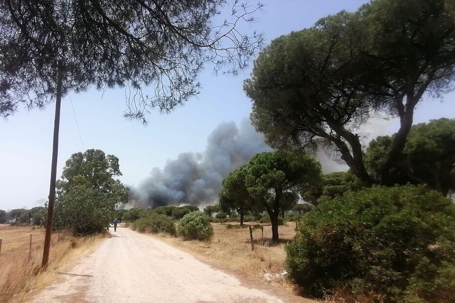 Incêndio em Gambelas, Faro
