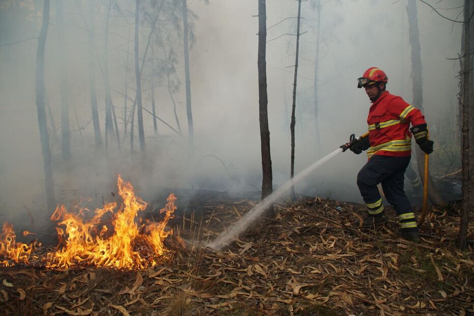 2022-07-14_10_11_14 44027743.JPG