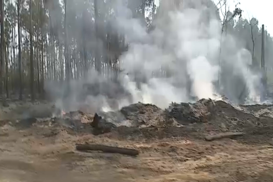Incêndio em Albergaria-a-Velha