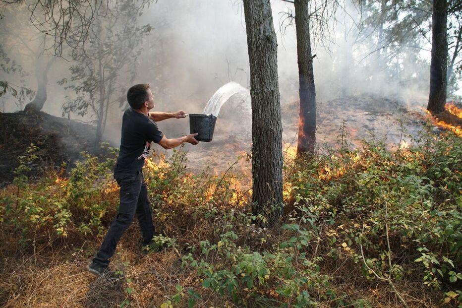 Crasto, incêndio, x