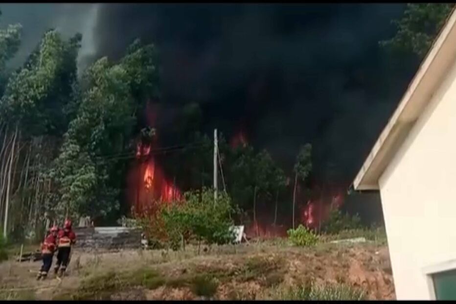 Sete em cada dez incendiários detidos pela GNR têm mais de 50 anos