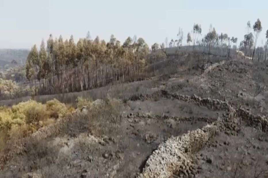 centro do país, áreas ardidas, incêndios, incêndios florestais