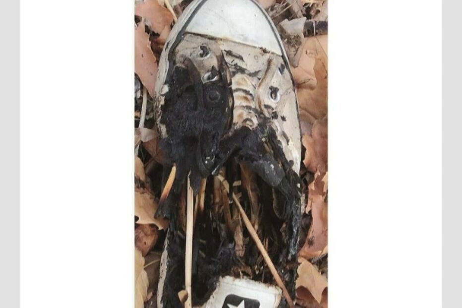 Investigado incêndio ateado com sapato em Sintra