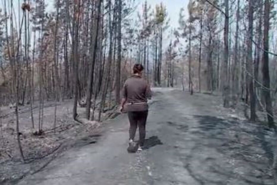 Rasto de destruição, fogo, incêndio, alvaiázere