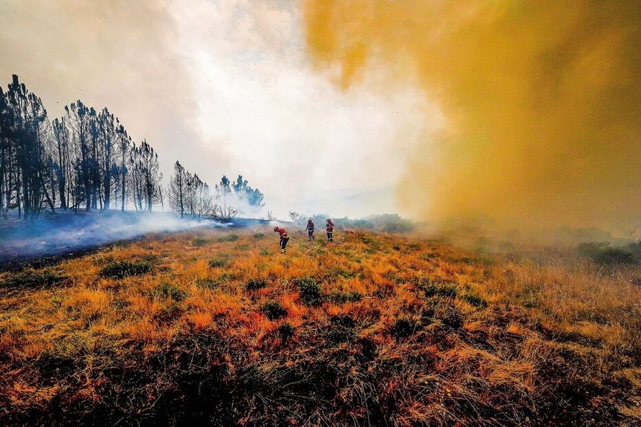 incêndios, meteorologia, fogo, Proteção Civil