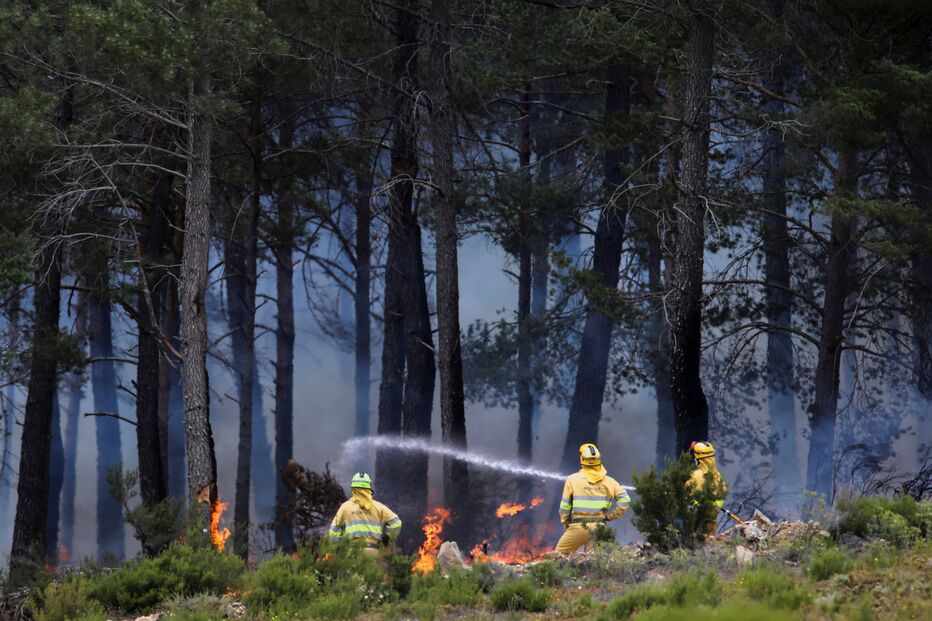 incêndio, espanha, zamora