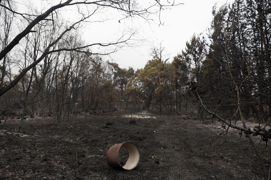 incêndio, espanha, zamora