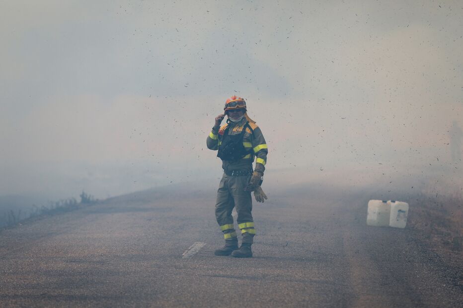 incêndio, espanha, zamora