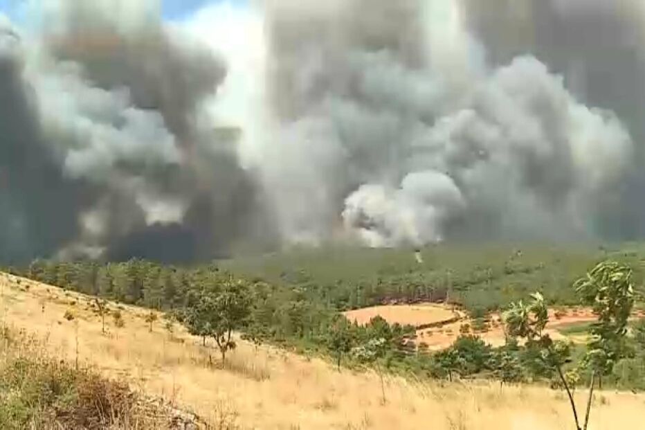 Incêndio em Murça