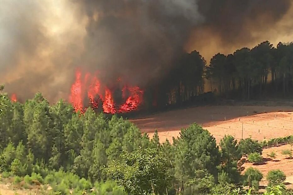 Incêndio em Murça