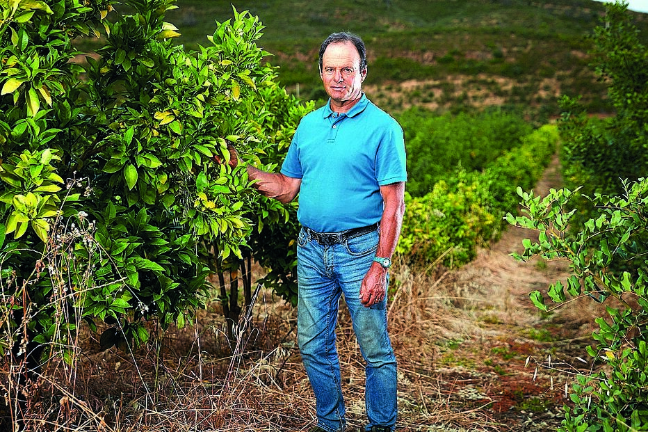 Ex-secretário de Estado e autarca do PSD está reformado há 10 anos  