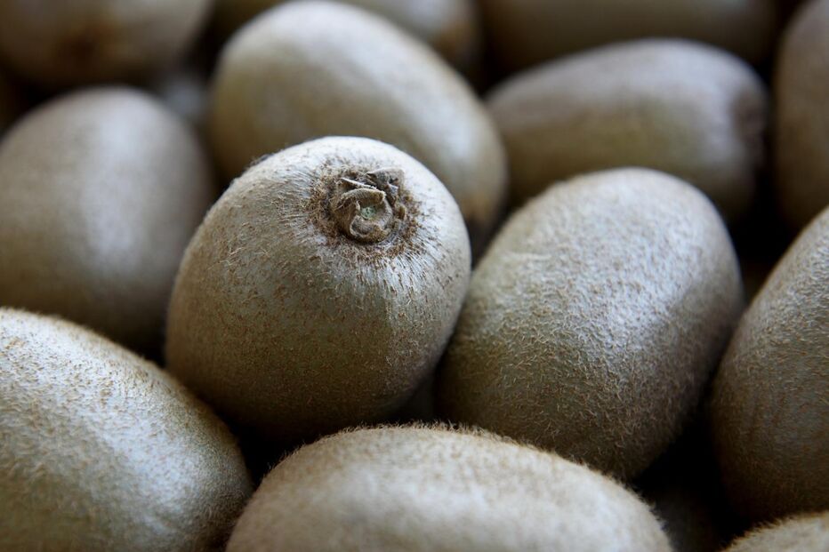 kiwi