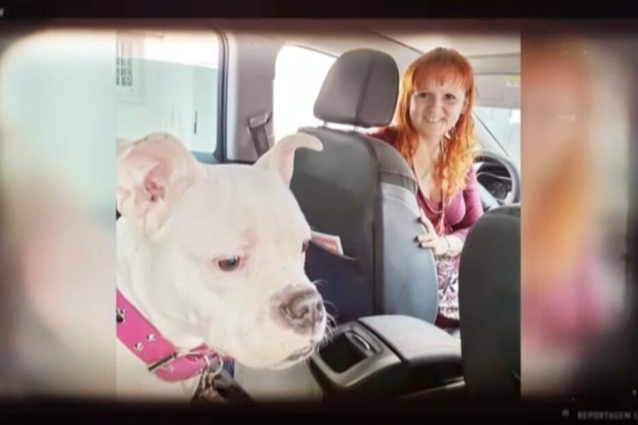 Sandra Andrade, TVDE, Olhão, Quarteira, desaparecimento 